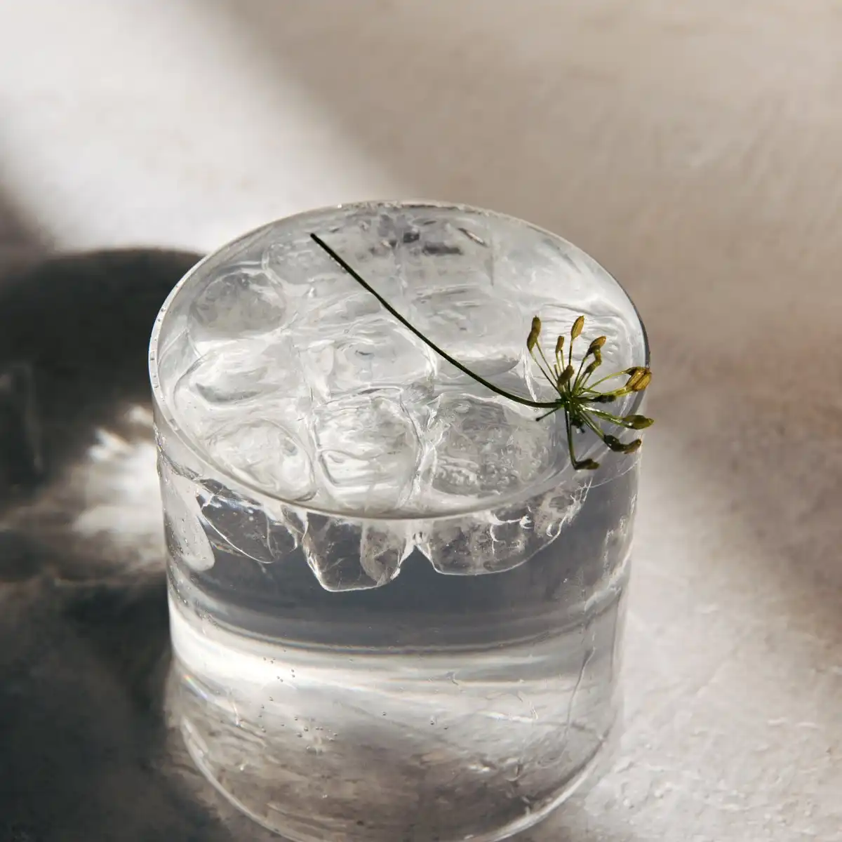 Stockholms Akvavit+Tonic